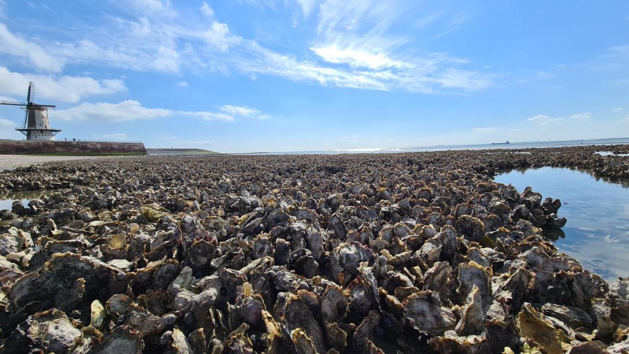 Rijksmonument Havenzicht, Met Zeezicht, Ligging Direct Aan Zee En Centrum Βλισίνγκεν Εξωτερικό φωτογραφία